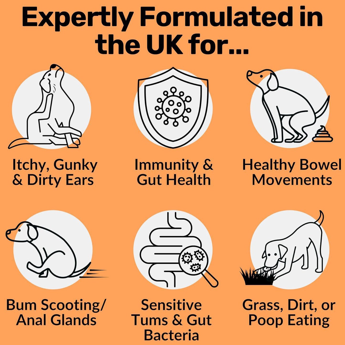 Dog Probiotic Soft Chewable Tablets for Intestinal Health