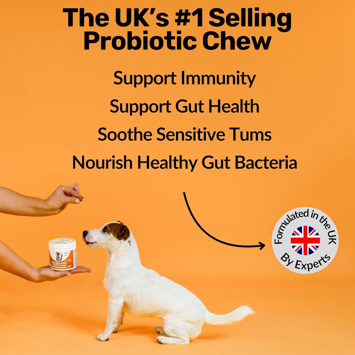 Dog Probiotic Soft Chewable Tablets for Intestinal Health